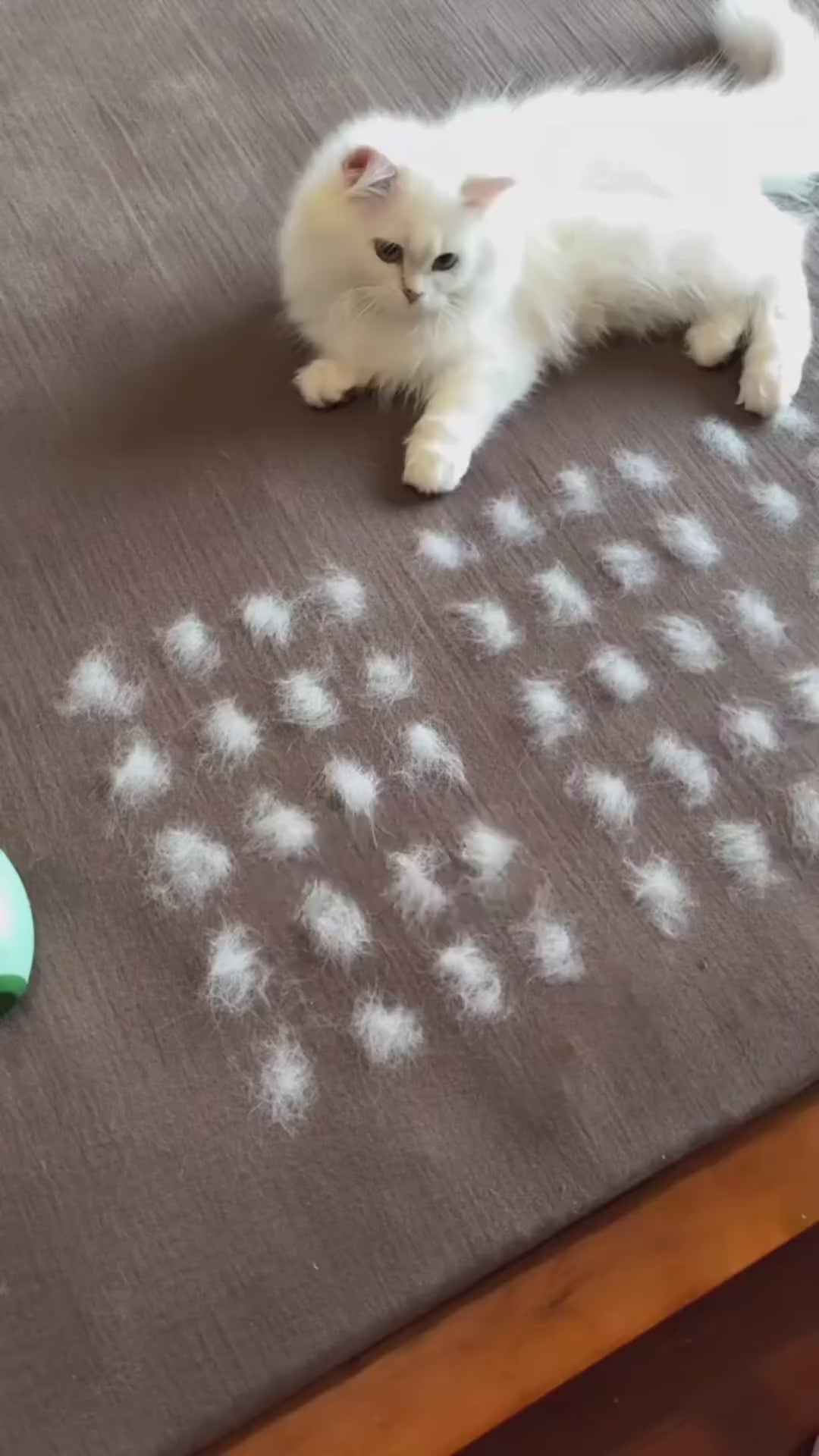 Brusfy™ Pet Hair Remover Glove video