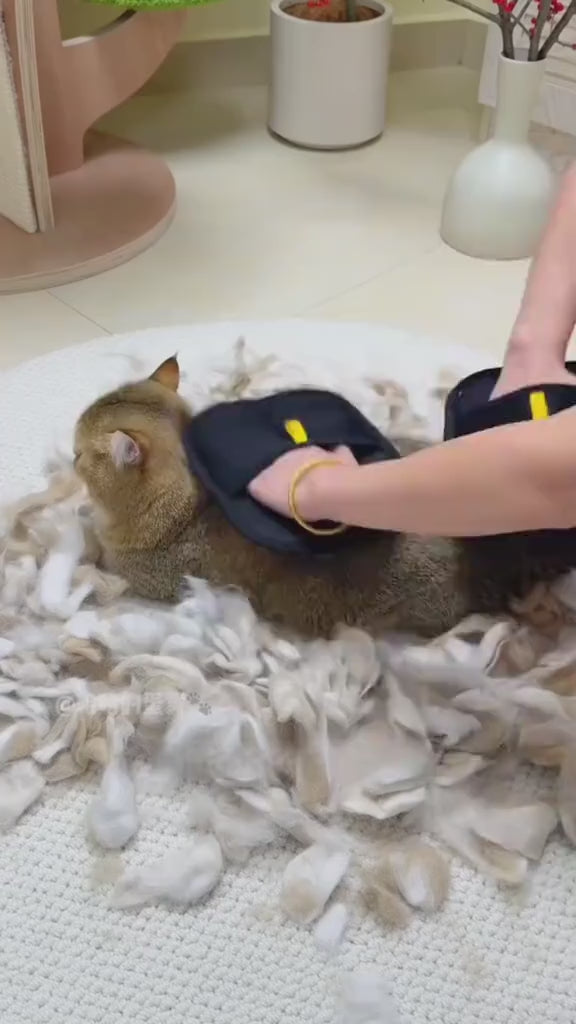 Brusfy™ Pet Hair Remover Glove video
